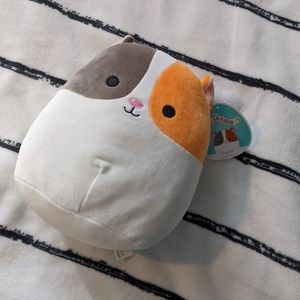 Everett squishmallow 8 inch